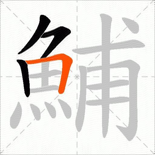 鯆