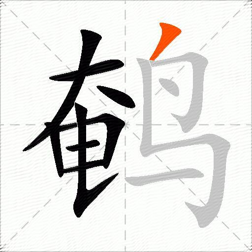 鹌
