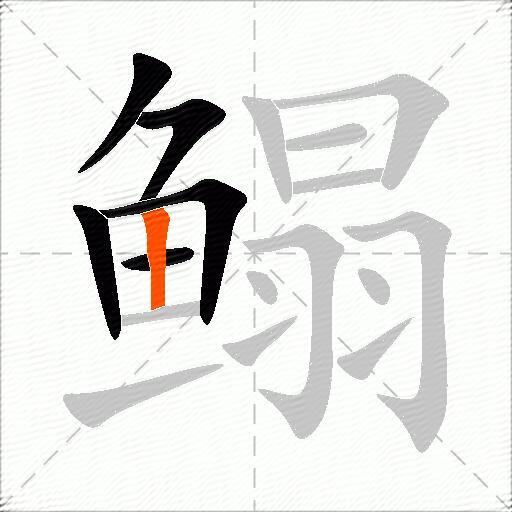 鳎