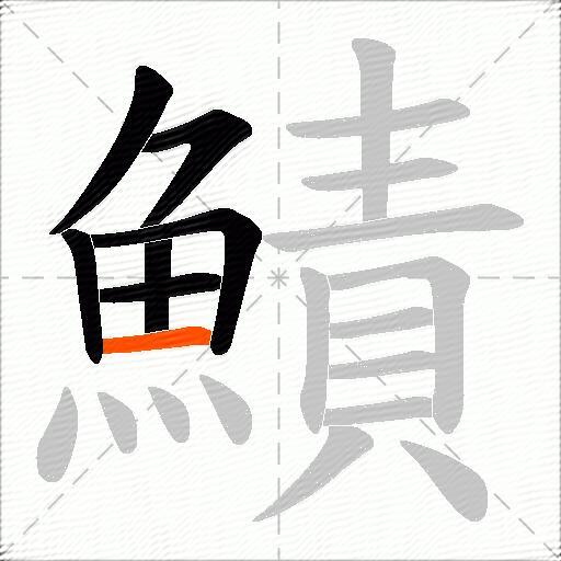 鰿