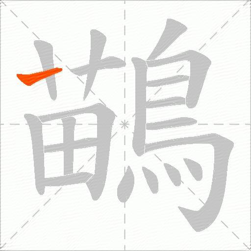 鶓