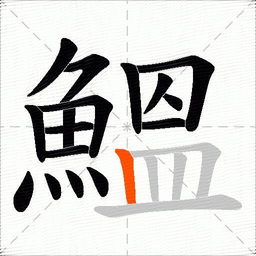 鰮