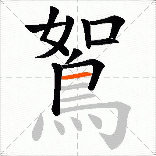 鴽