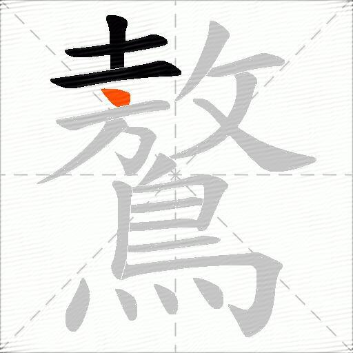 鷔