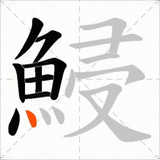 鮼