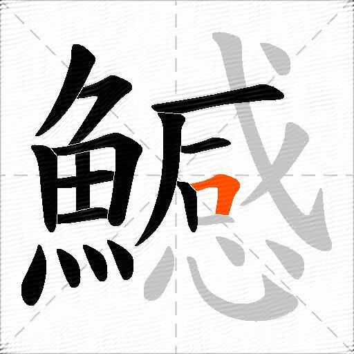 鱤