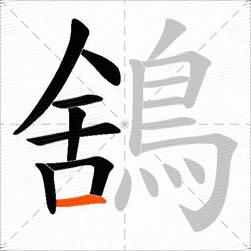 鵨