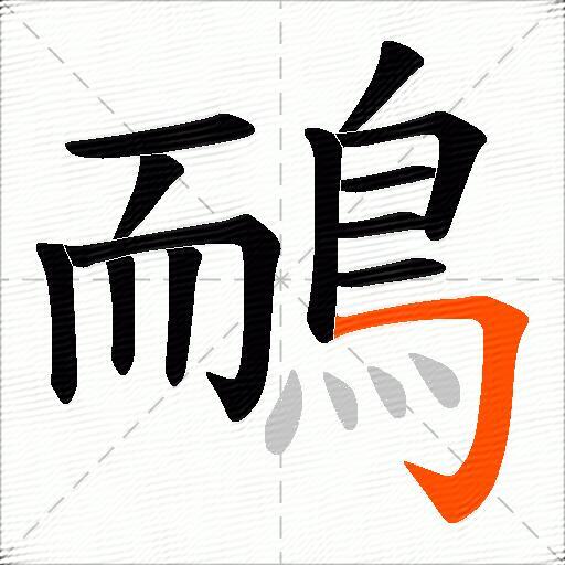 鴯