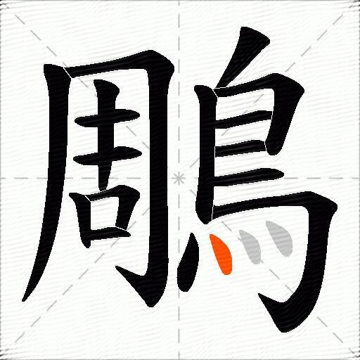 鵰