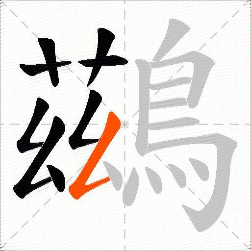 鷀