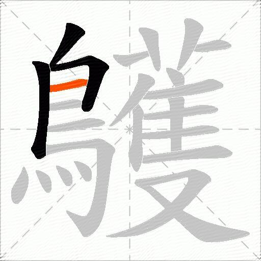 鸌