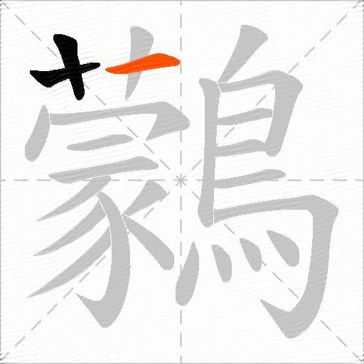 鸏