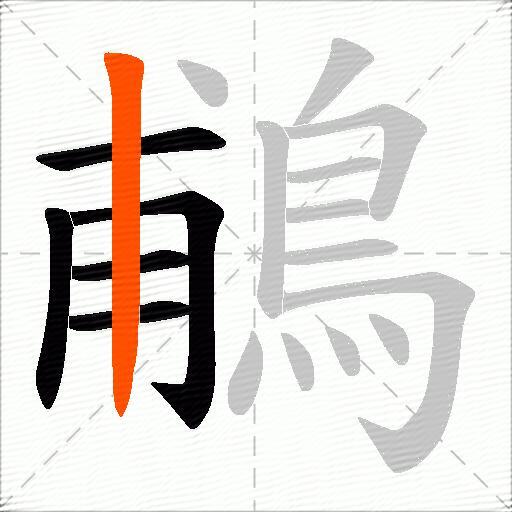 鵏