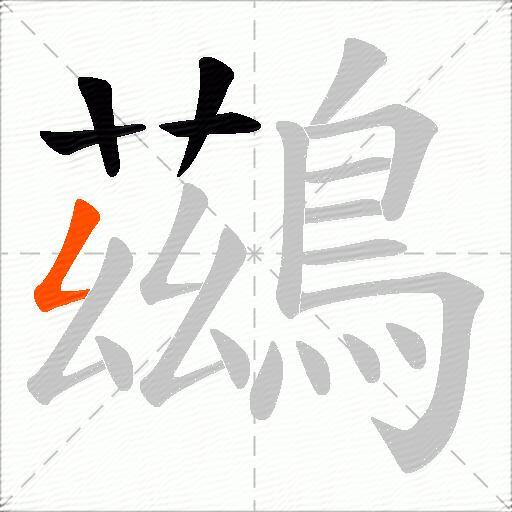 鷀