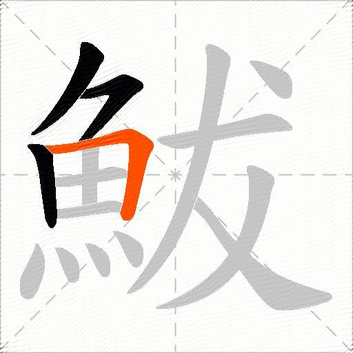 鮁