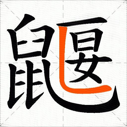 鼴