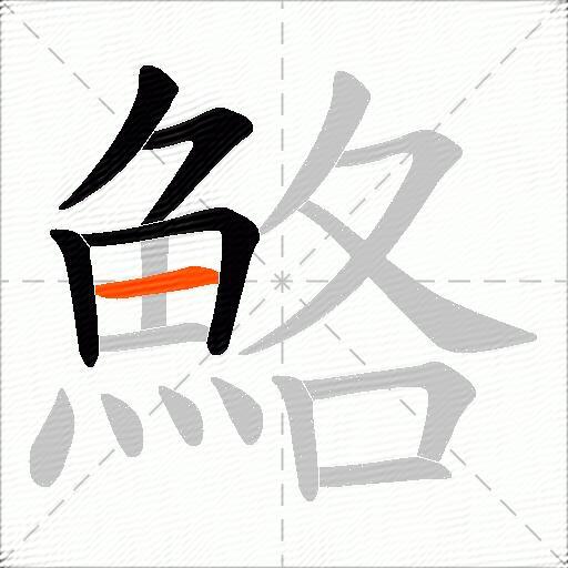 鮥