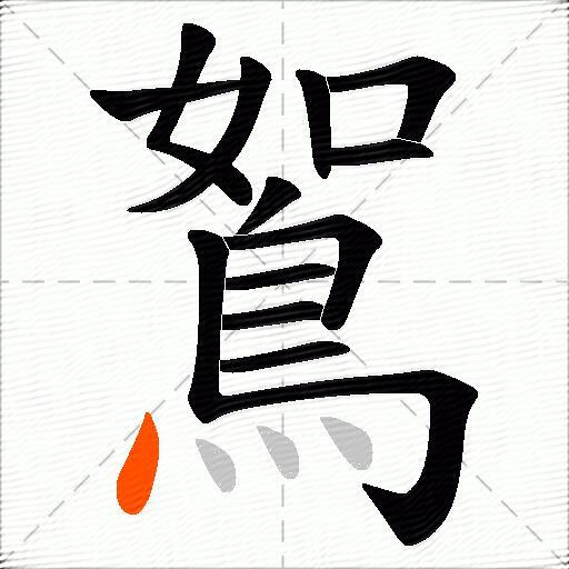 鴽