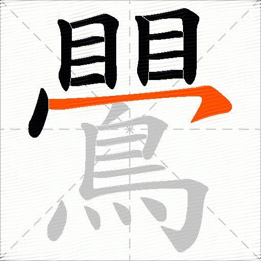 鷪