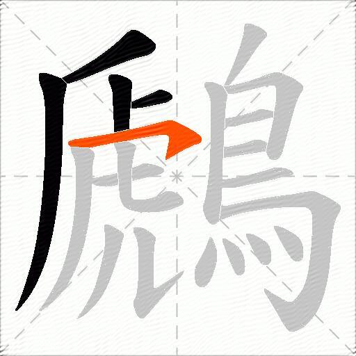鷉