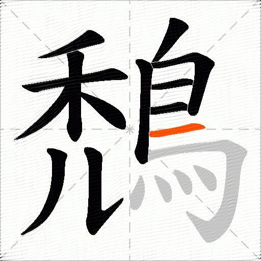 鵚
