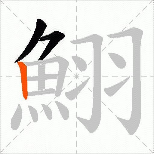 鮙