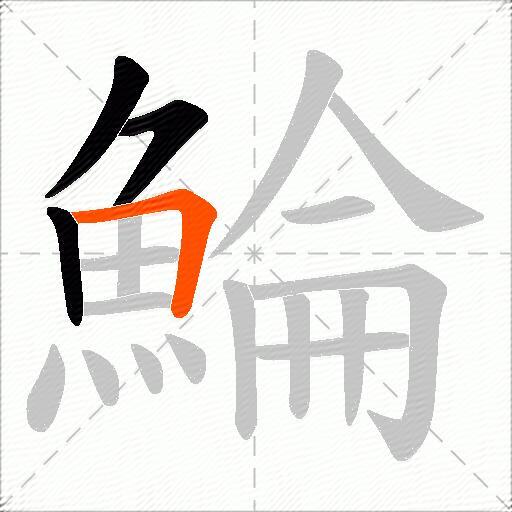 鯩