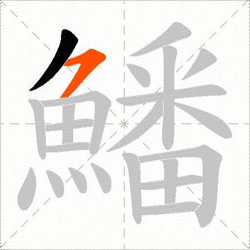 鱕