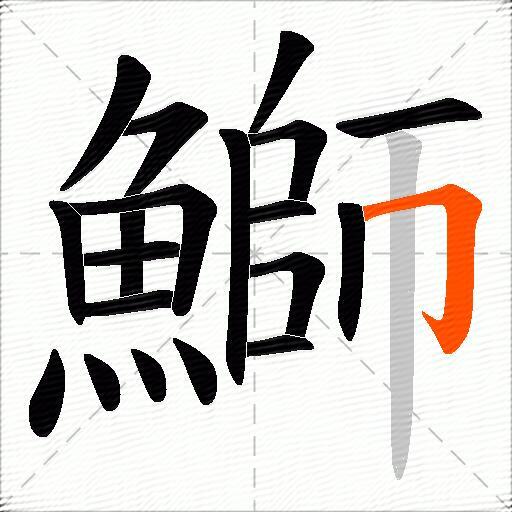 鰤