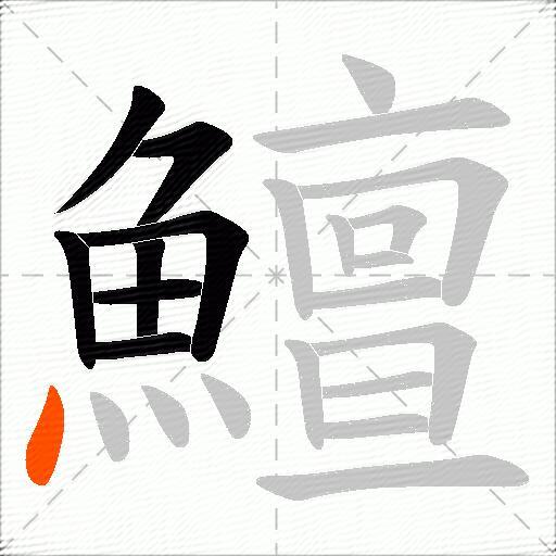 鱣