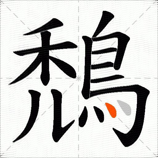 鵚