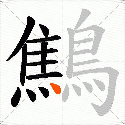 鷦