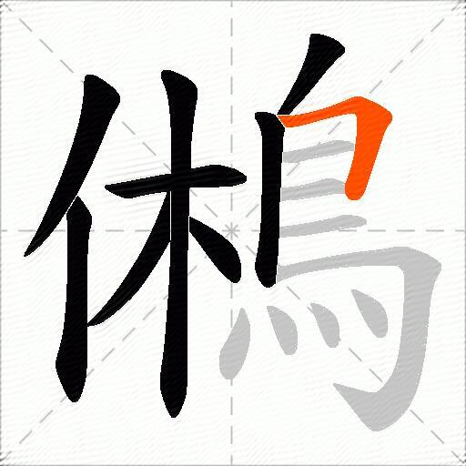 鵂