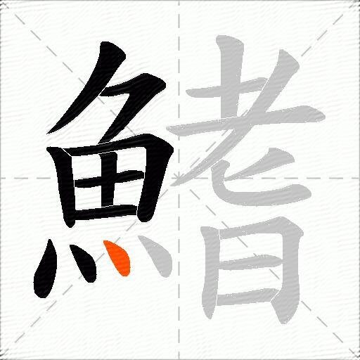 鰭
