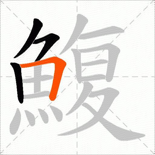 鰒