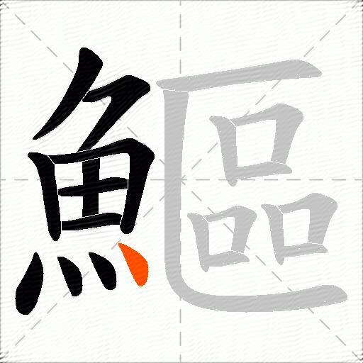 鰸
