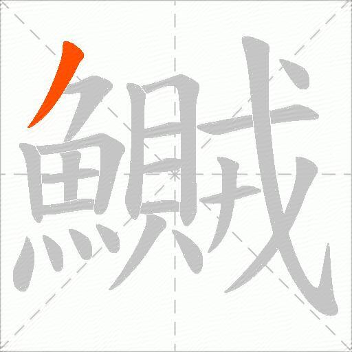鱡