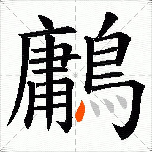 鷛