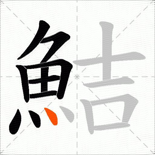鮚
