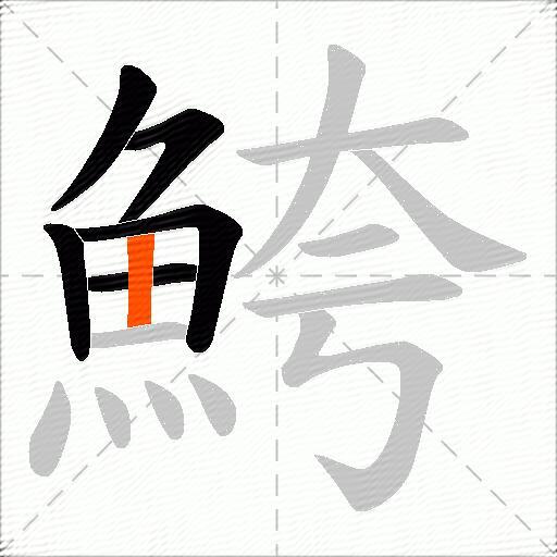 鮬