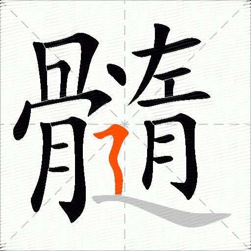 髓