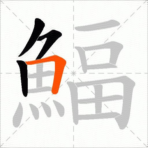 鰏