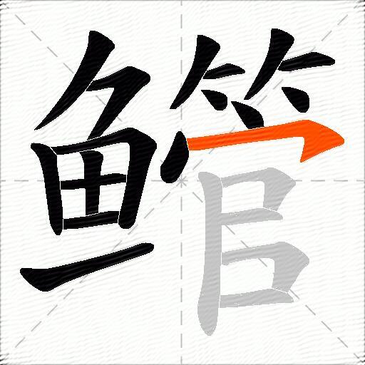 鳤