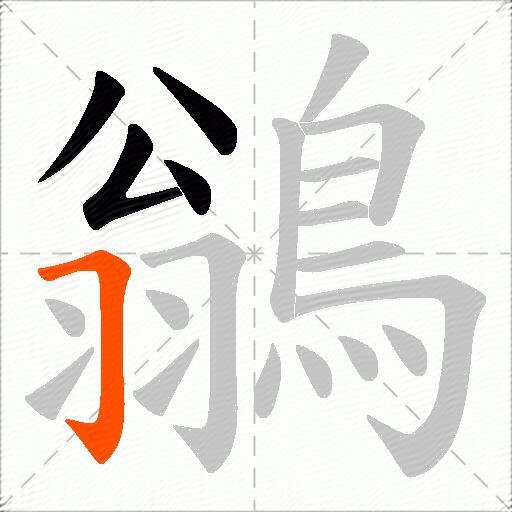 鶲