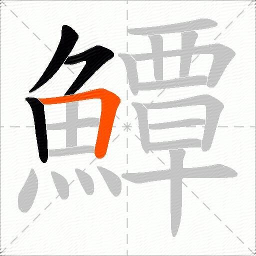 鱏