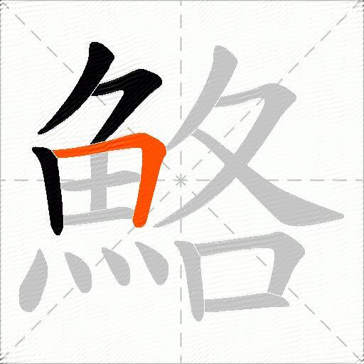 鮥