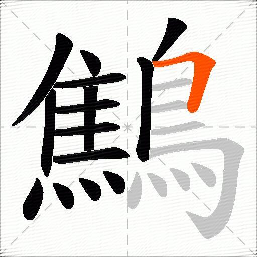 鷦