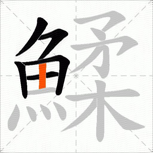 鰇