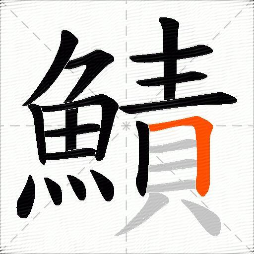 鰿