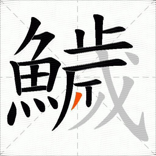 鱥